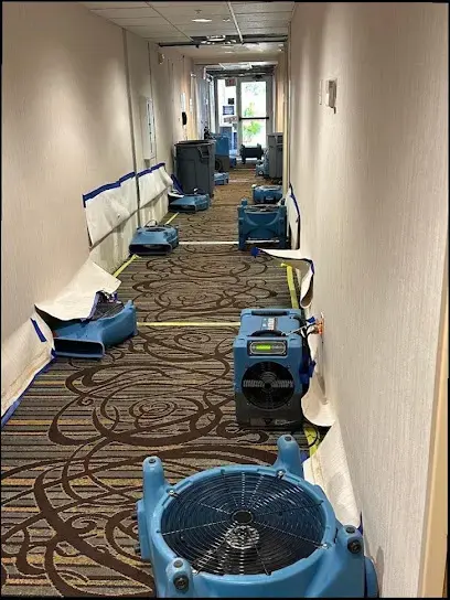 Air movers lined along a carpeted hallway during a South Gate dry-out