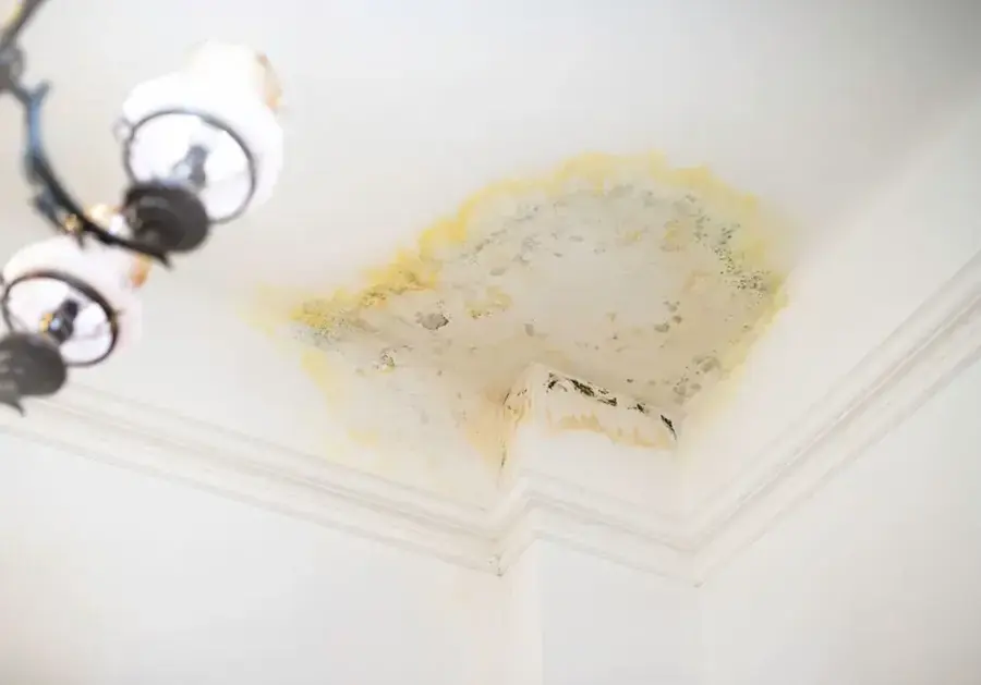 Water stain spreading across a ceiling in South Gate
